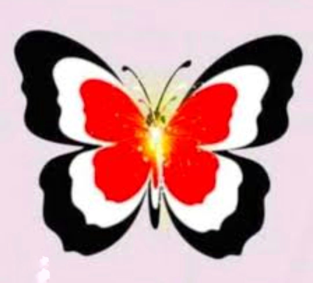 Butterfly Logo